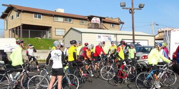 2015-01-11_Zebra_Alpaca_Ride