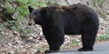 2016-08-05_Wandas_Bday_Ride