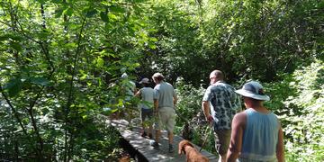 2017-06-23_Shasta_Camp