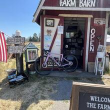 450608245_889888199616879_6932399535653150851_n